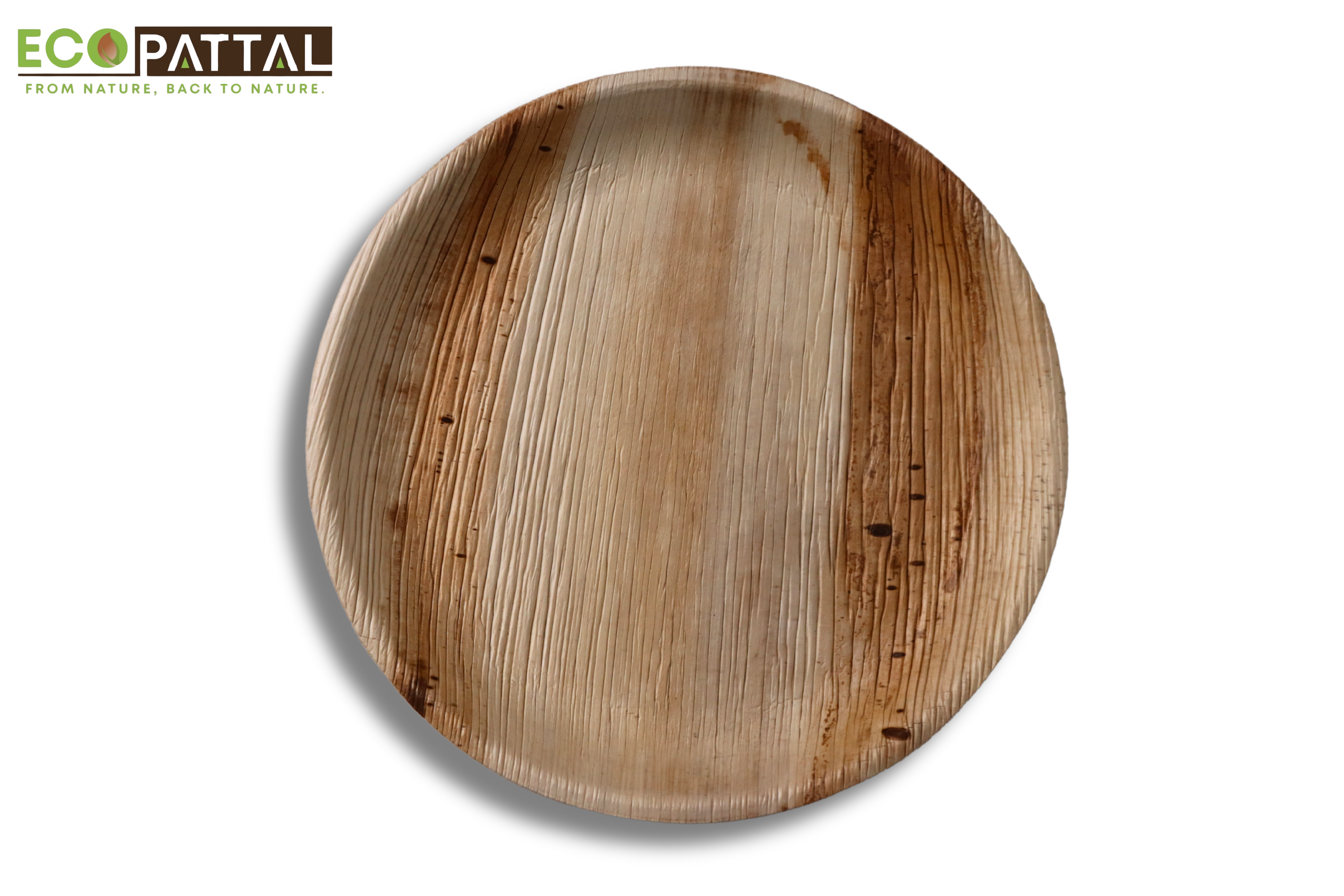 6 inch shallow round