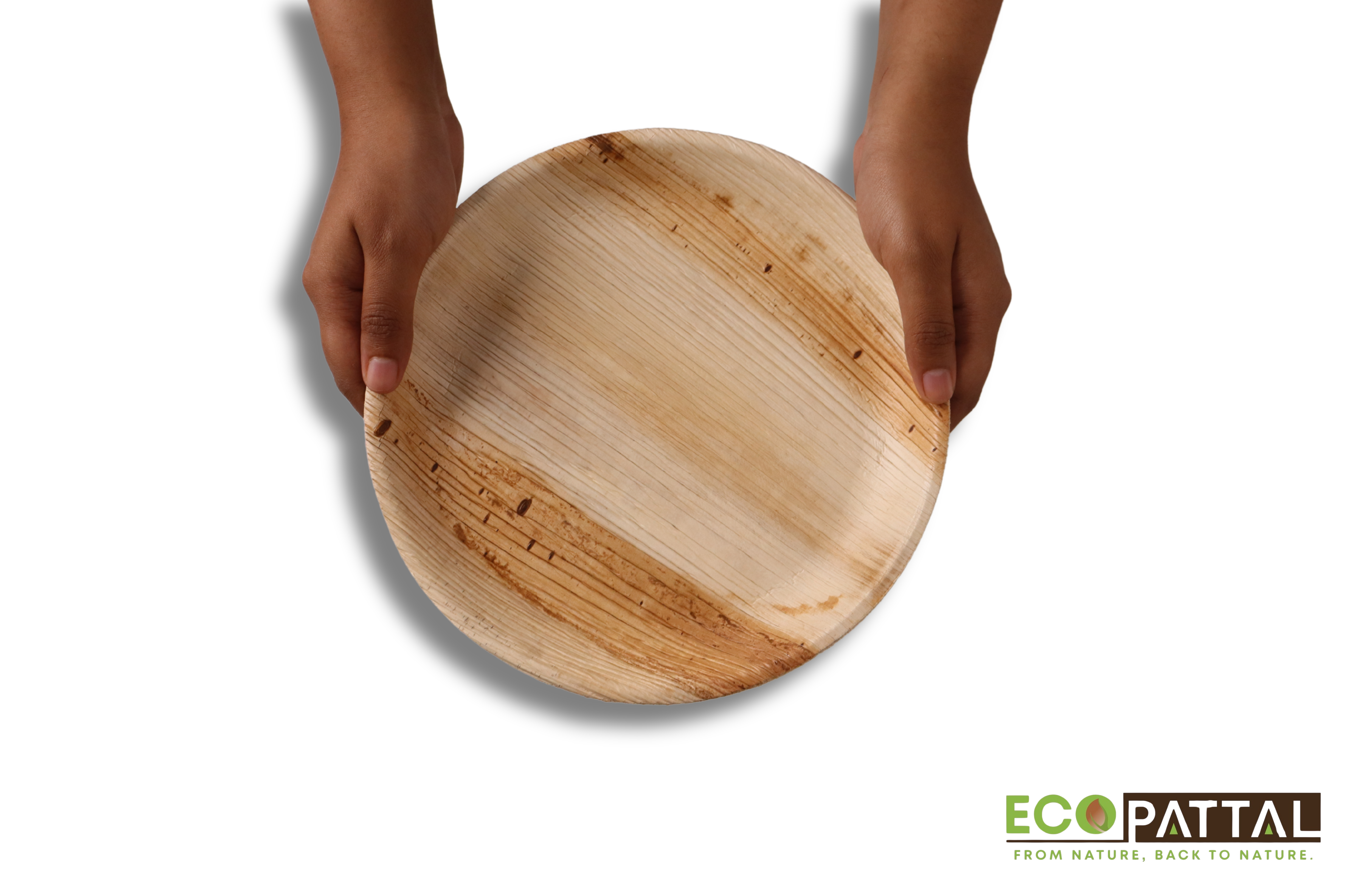 6 inch shallow round