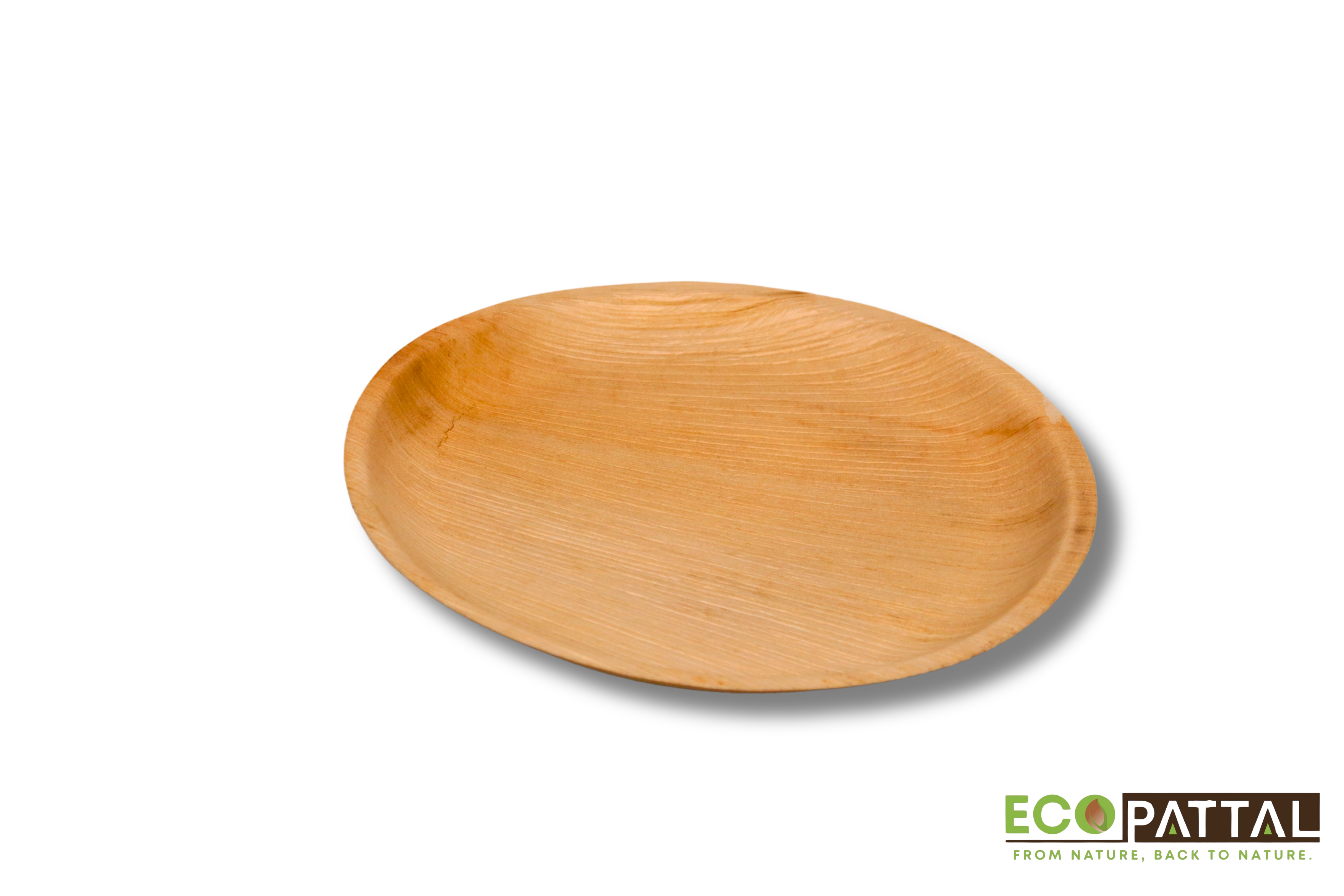 6 inch shallow round