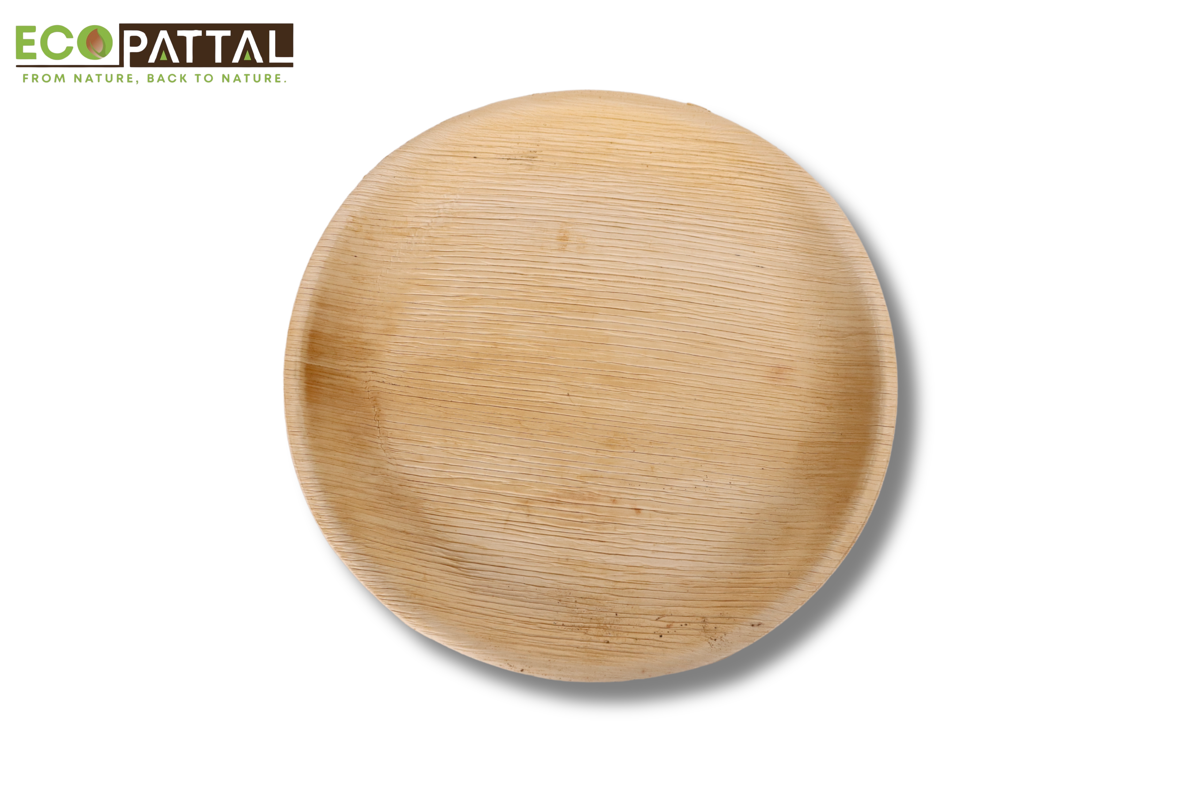 10 inch shallow round