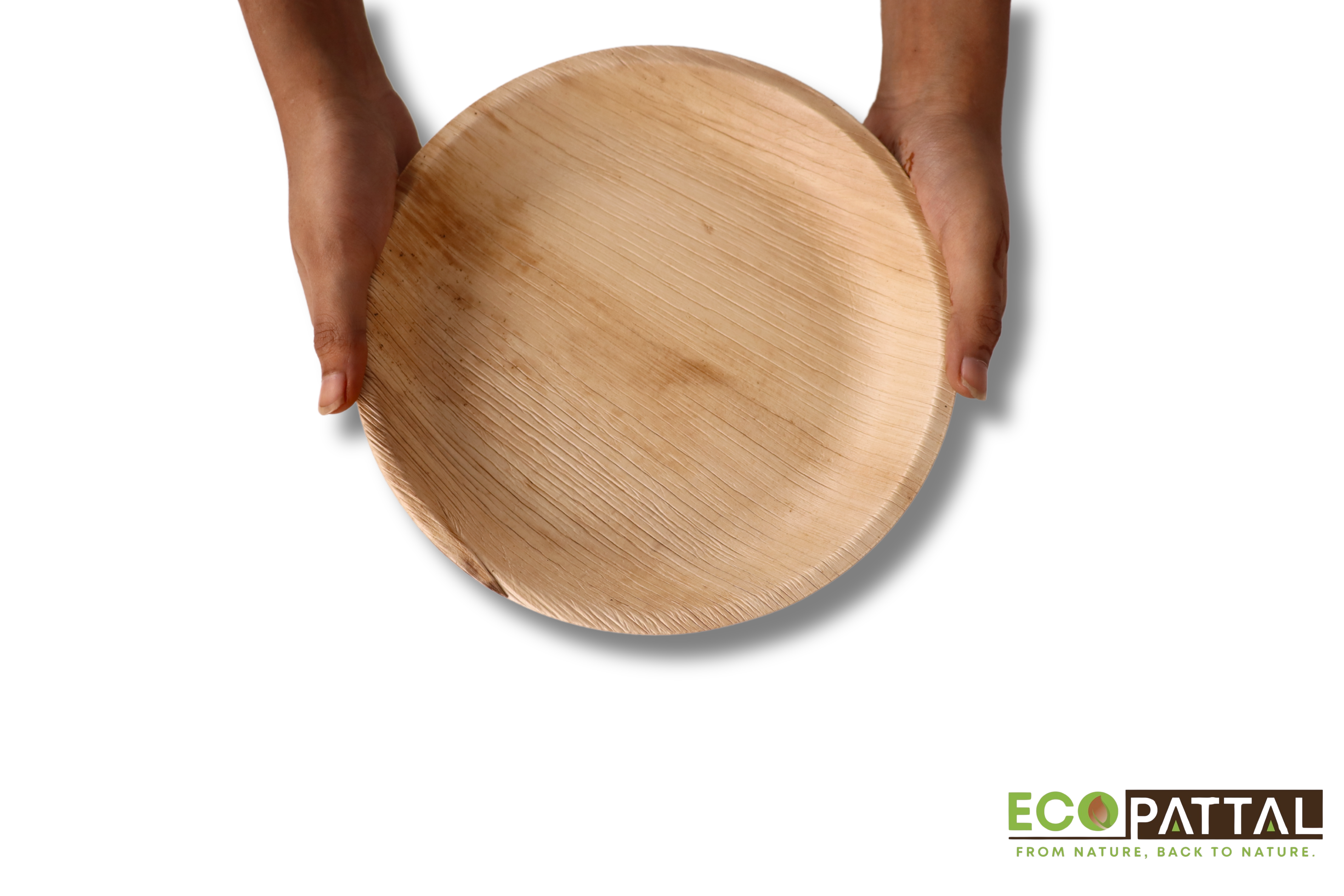 10 inch shallow round