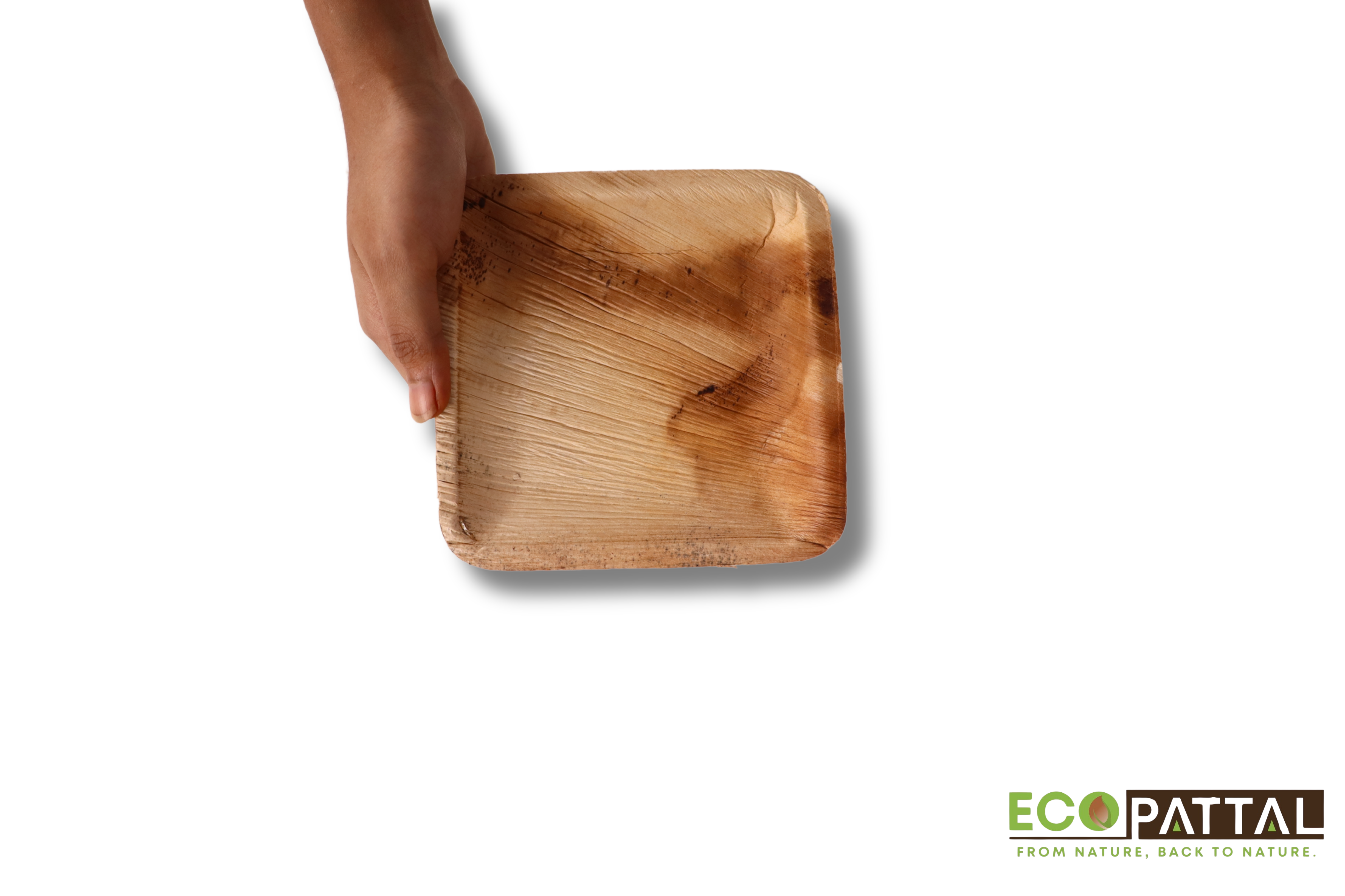 12 inch shallow round